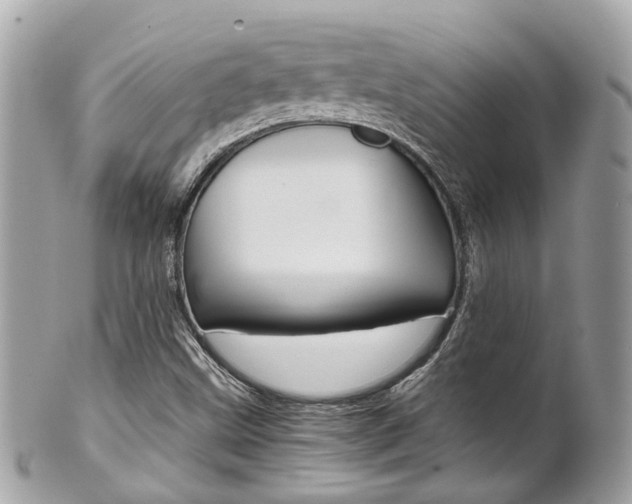 X0000102011499200807180859