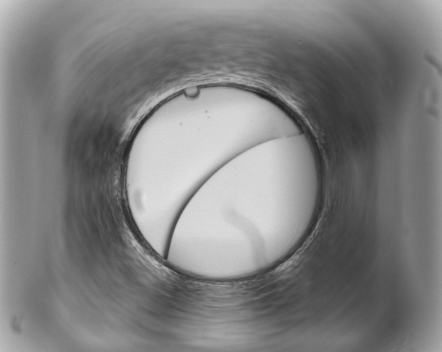 X0000102011500200807180859