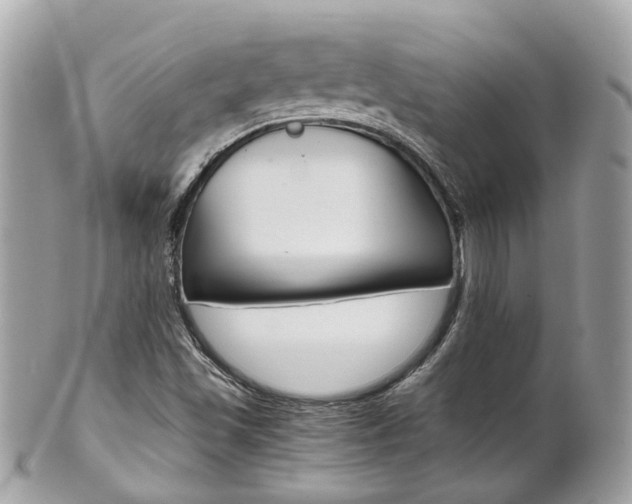 X0000102011501200807180859