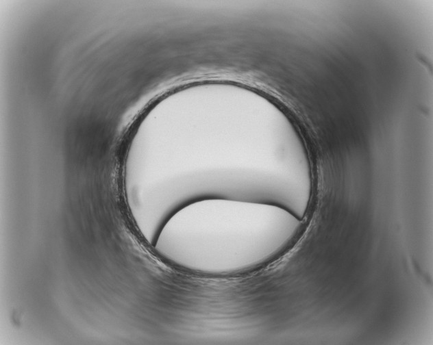 X0000102011502200807180859