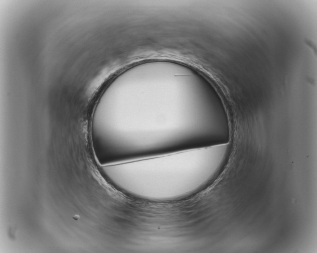 X0000102011503200807180859