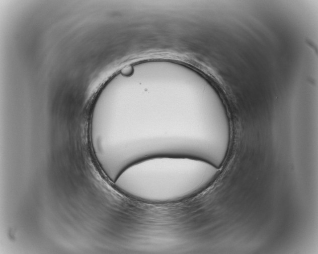 X0000102011504200807180859