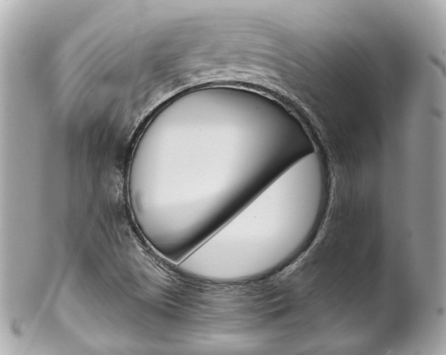 X0000102011505200807180859