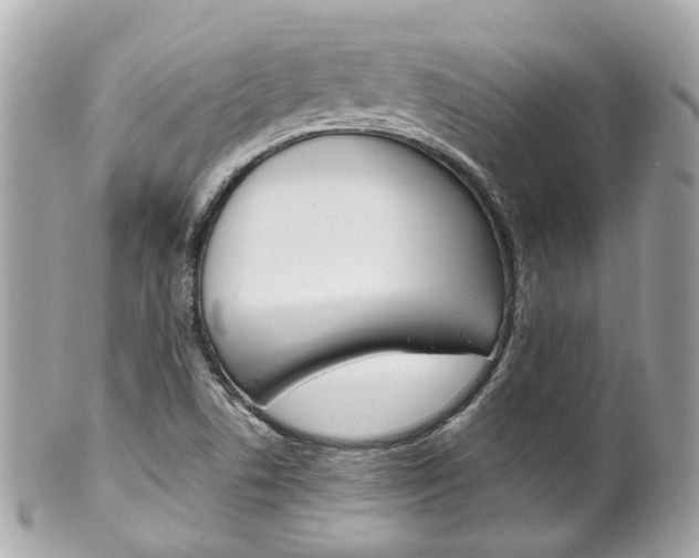 X0000102011506200807180859