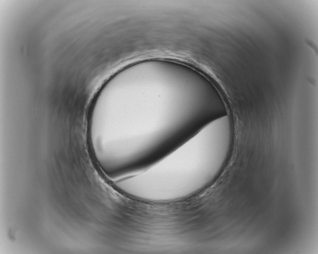 X0000102011508200807180859
