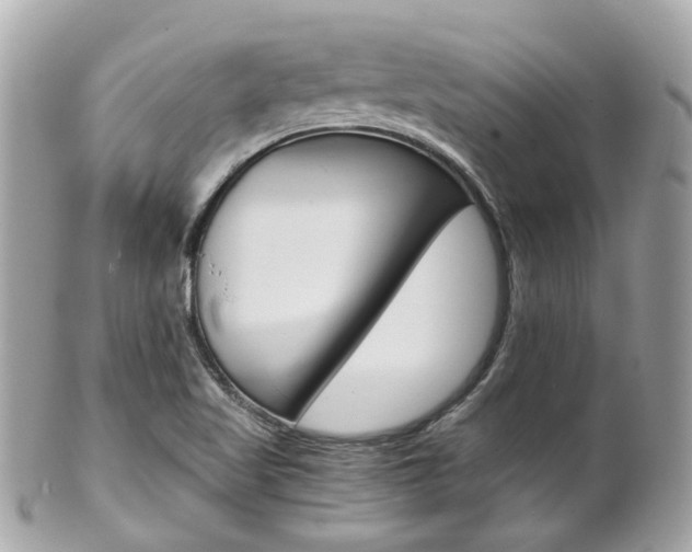 X0000102011509200807180859