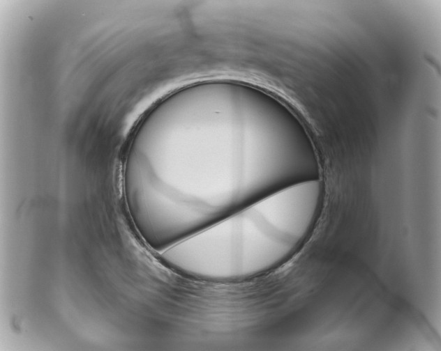 X0000102011510200807180859