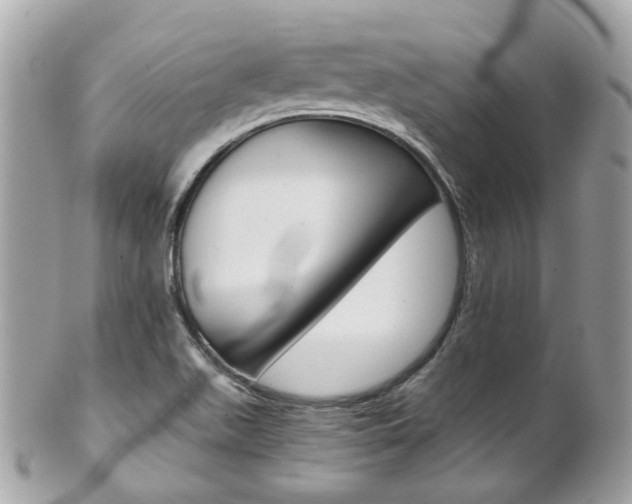 X0000102011511200807180859