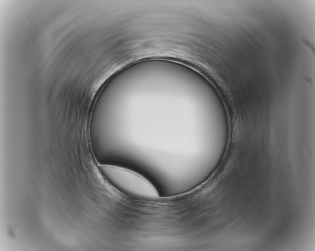 X0000102011513200807180859