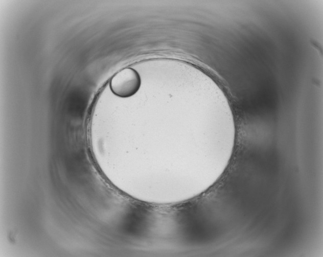 X0000102011514200807180859