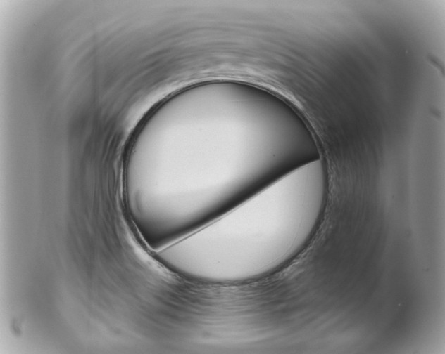 X0000102011515200807180859