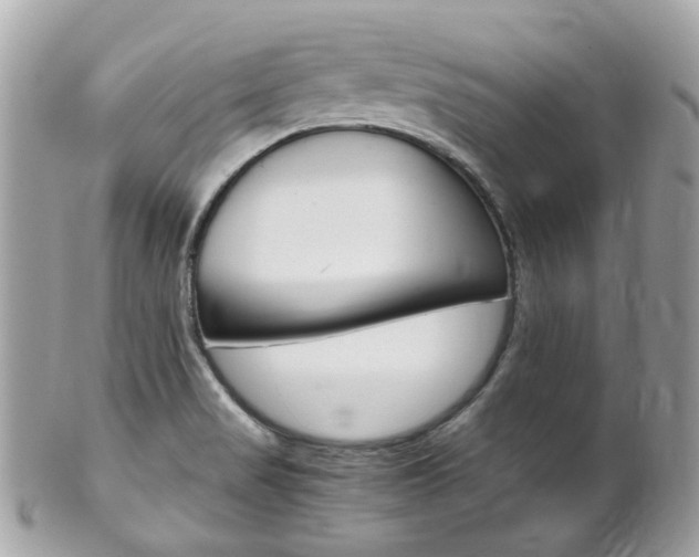 X0000102011517200807180859