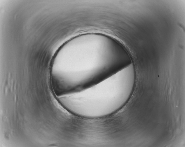 X0000102011518200807180859