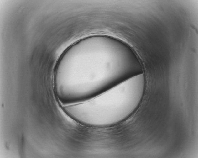 X0000102011519200807180859