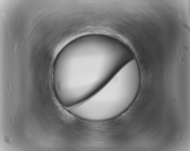 X0000102011520200807180859