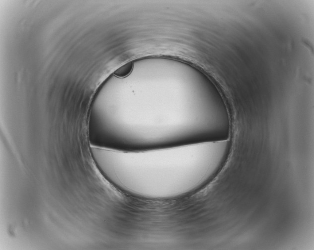 X0000102011521200807180859