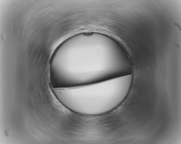 X0000102011522200807180859