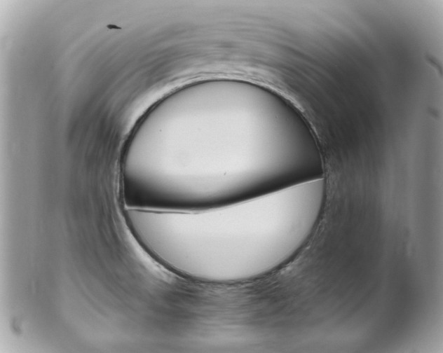 X0000102011523200807180859