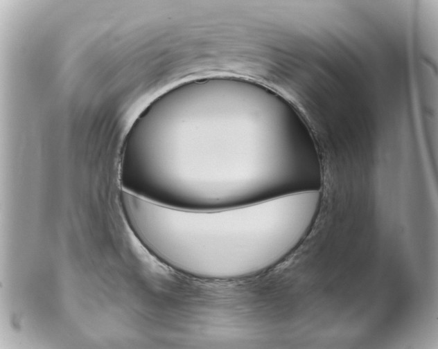 X0000102011524200807180859