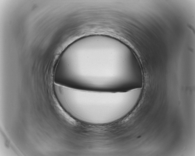 X0000102011525200807180859