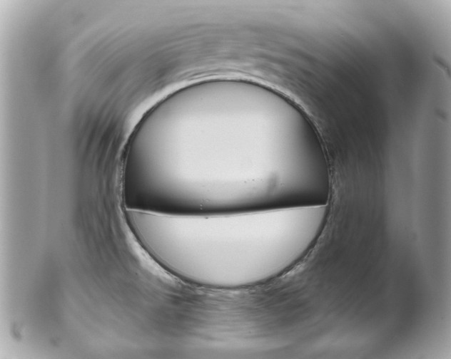 X0000102011526200807180859