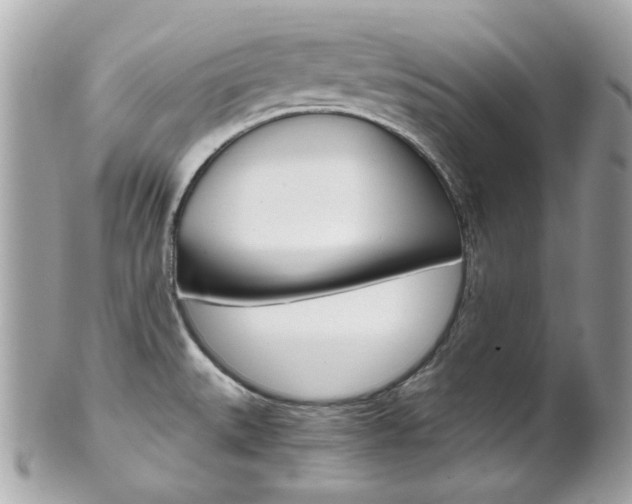 X0000102011527200807180859
