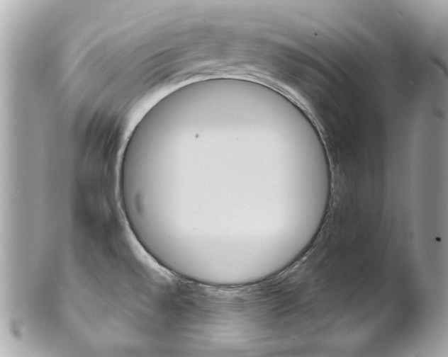 X0000102011528200807180859