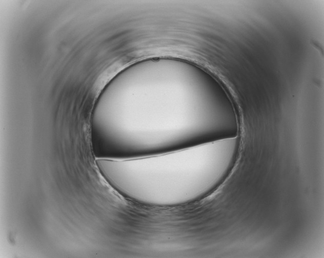 X0000102011529200807180859