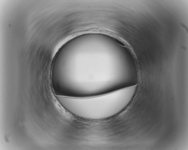 X0000102011530200807180859