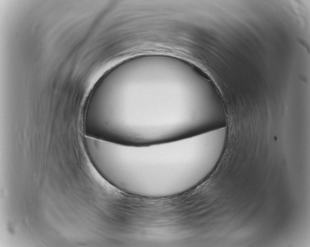 X0000102011531200807180859