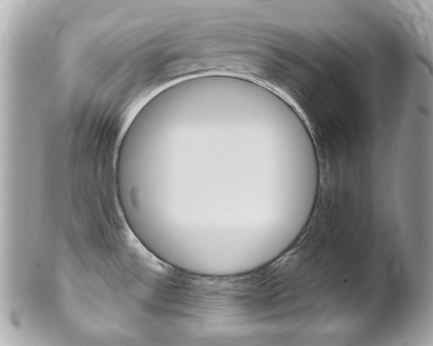 X0000102011532200807180859