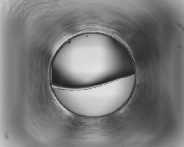 X0000102011533200807180859