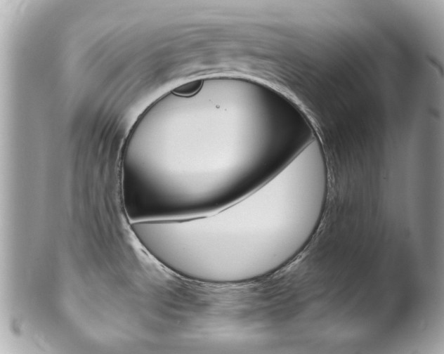 X0000102011534200807180900