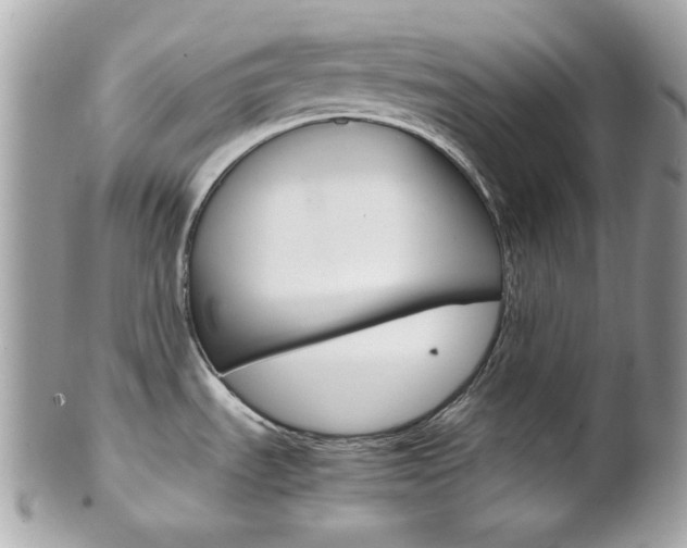 X0000102011535200807180900