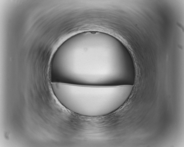 X0000102011536200807180900