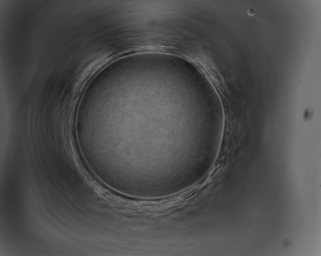 X0000102010001200807181239