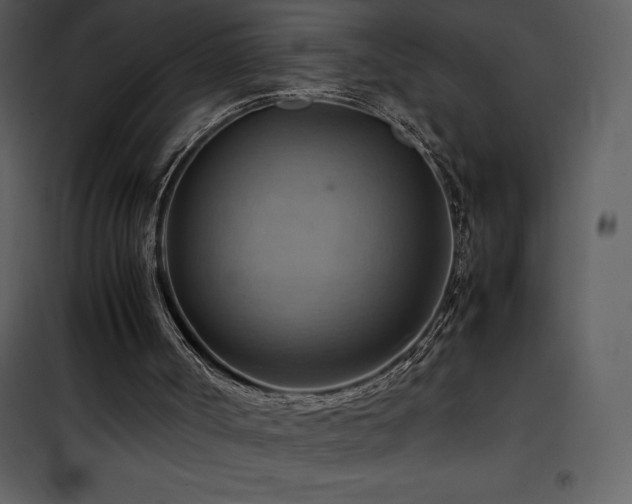 X0000102010002200807181239