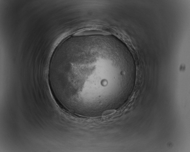 X0000102010003200807181239