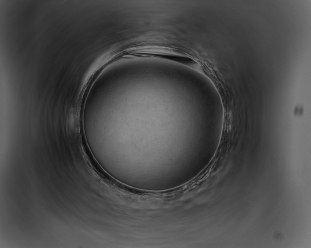 X0000102010004200807181239