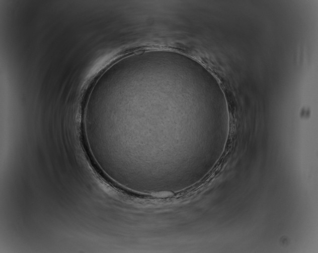 X0000102010005200807181239