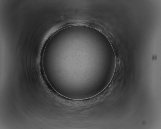 X0000102010006200807181239