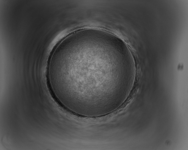 X0000102010007200807181239