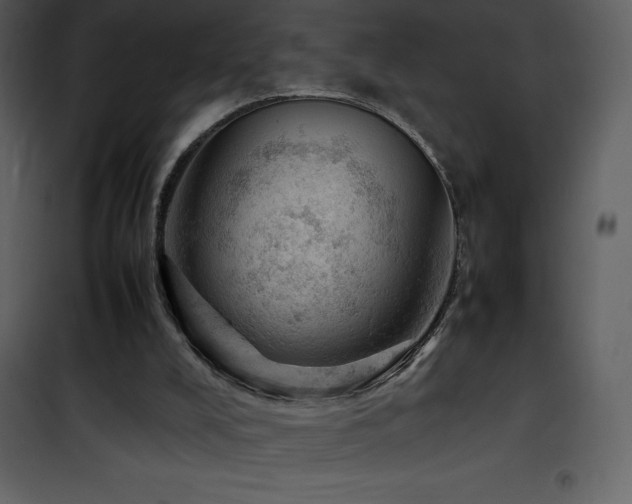 X0000102010008200807181239