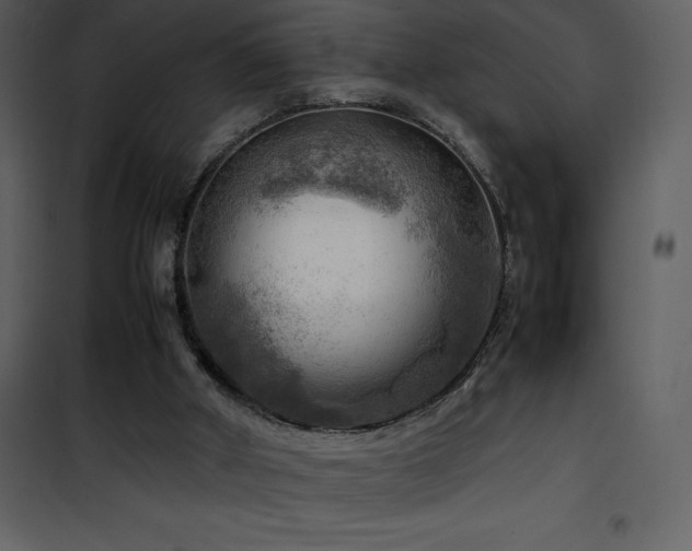 X0000102010010200807181239
