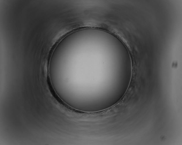 X0000102010011200807181239