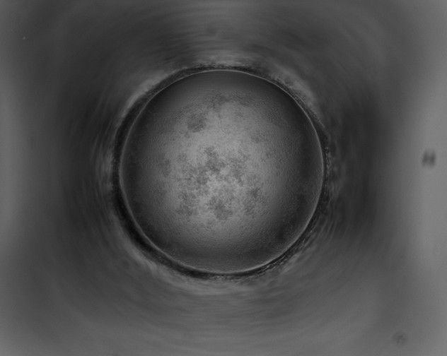 X0000102010012200807181239
