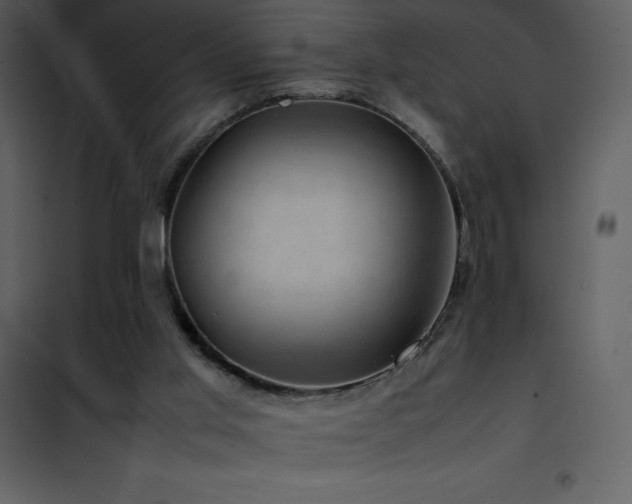 X0000102010013200807181239