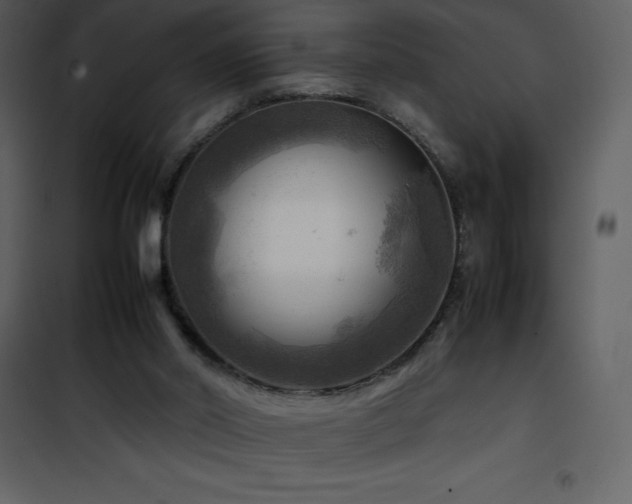 X0000102010014200807181239