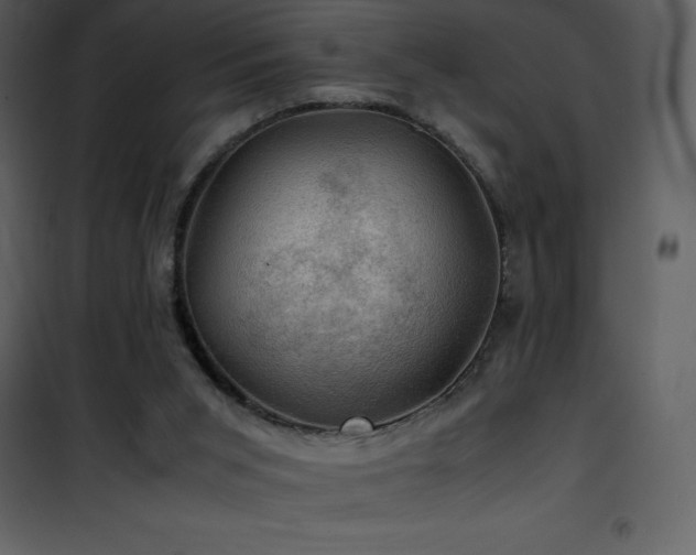 X0000102010015200807181239