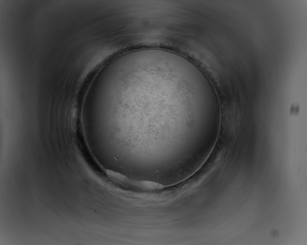 X0000102010016200807181239